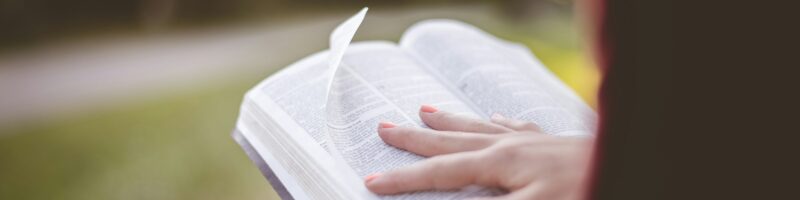 Closeup shot of a female sitting and reading the bible with a blurred background